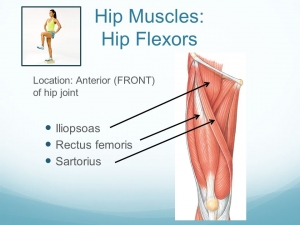 Possible  symptoms And Causes Of Hip Flexor Pain